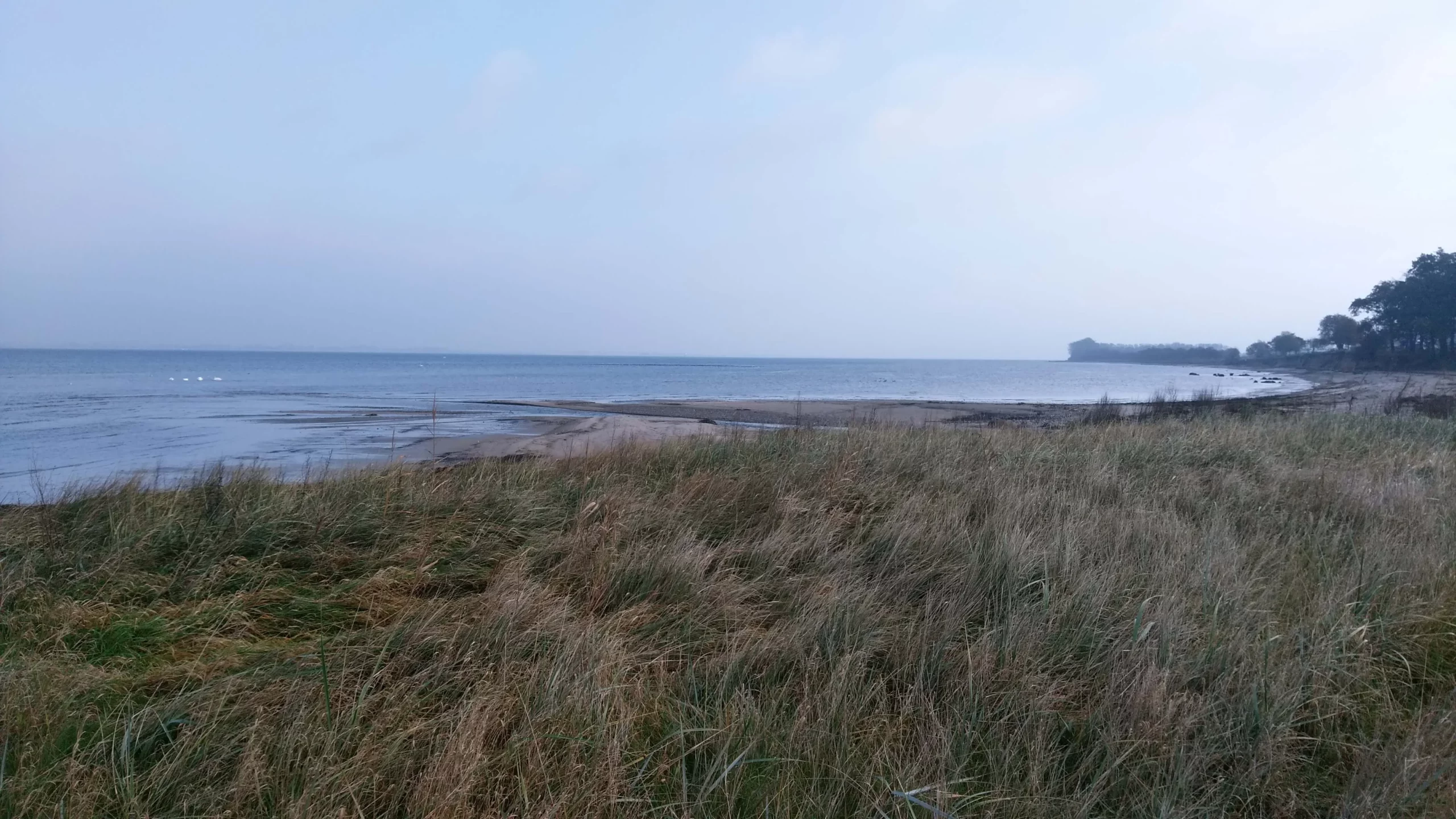 Ostseestrand Zierow