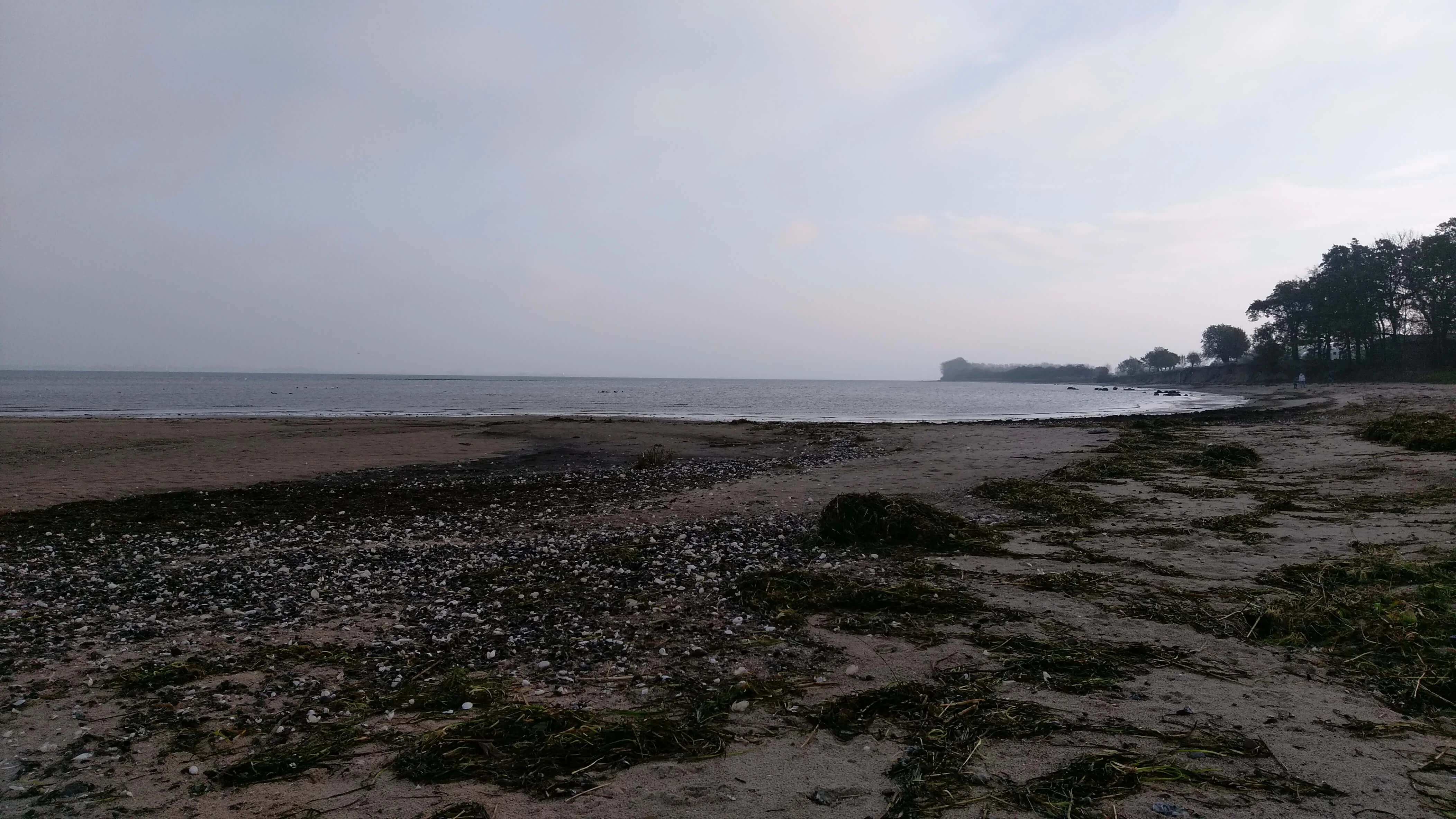 Impression aus Zierow 3