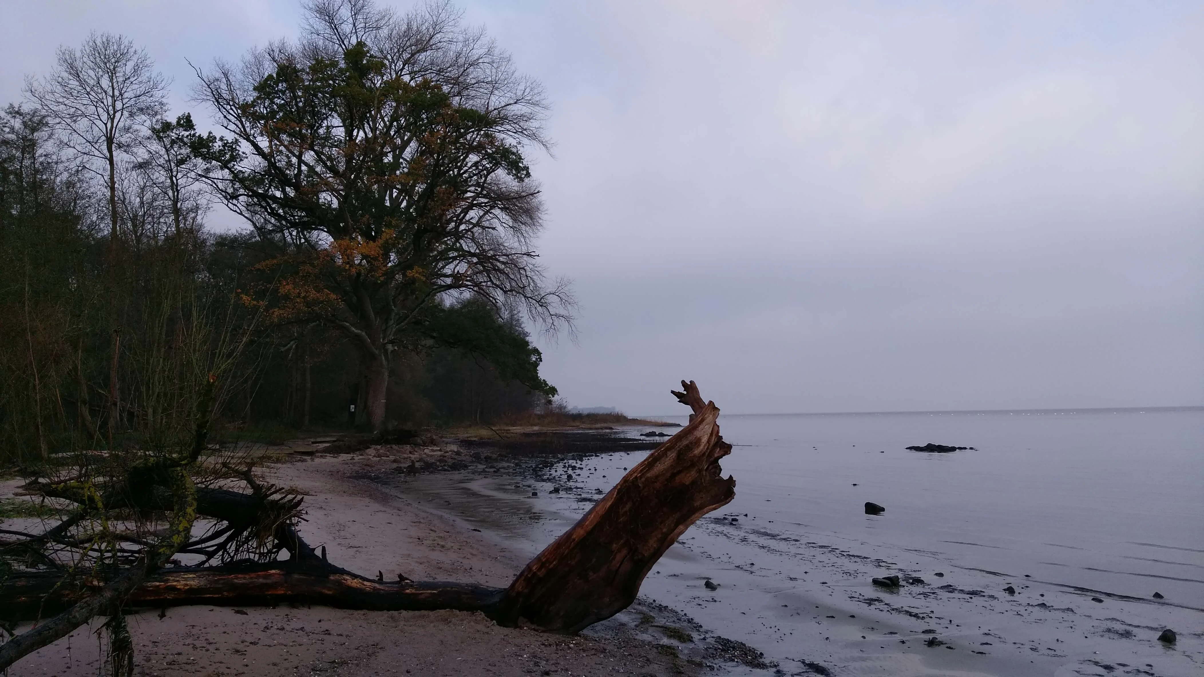 Impression aus Zierow 9
